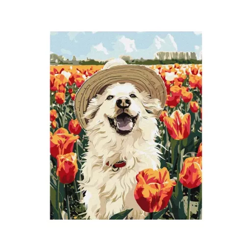 Számozott kifestő készlet – Vidám labrador, 40×50 cm, ecsetekkel