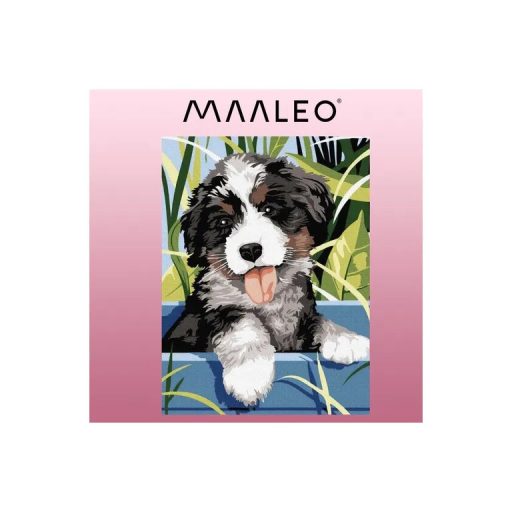 Számok Szerinti Festés Kutya - Vászon Fából Készült Kereten (Többszínű, 40 x 30 cm, 335 g)