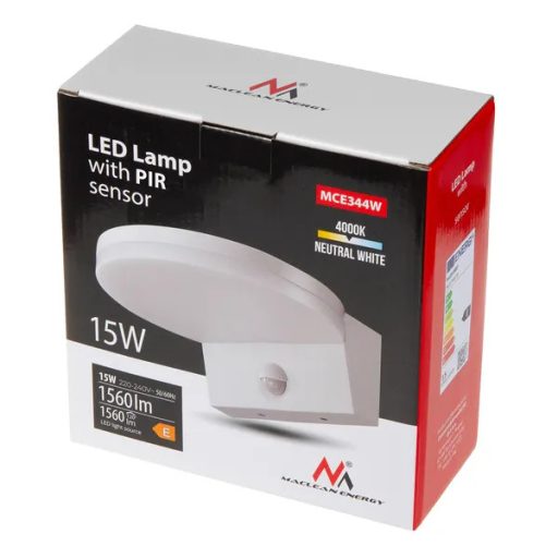 LED kültéri lámpa mozgás- és fényérzékelővel 15 W IP65 1560 lm 4000 K fehér