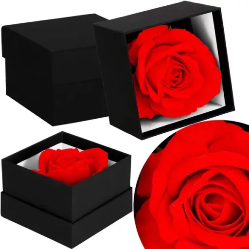 Örökrózsa díszdobozban, piros, 10,8×10,8×7,5 cm, 1 szál